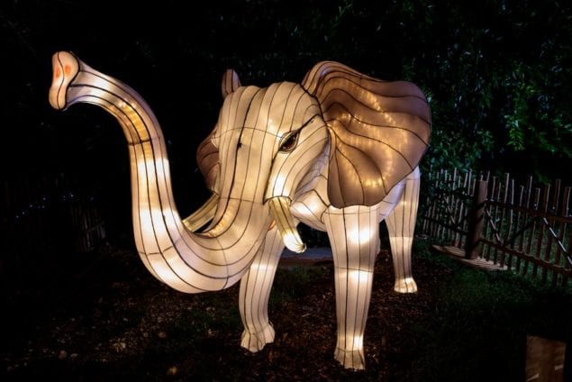 Zoo Miami dazzles with lights on selected nights during holidays