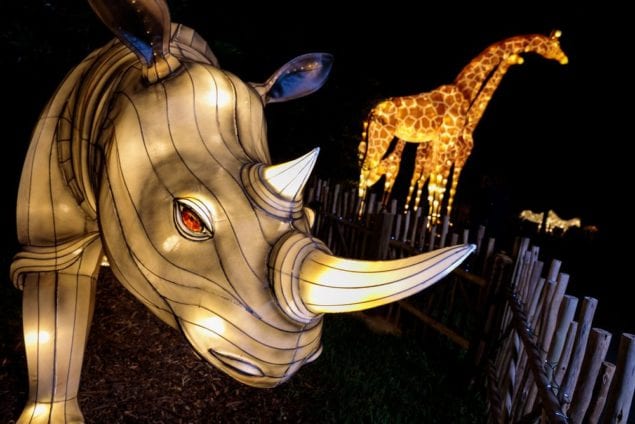 Zoo Miami dazzles with lights on selected nights during holidays