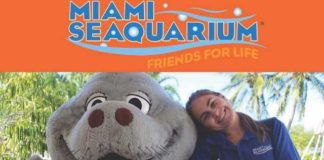 Miami Seaquarium to host Job Fair Thursday, Dec. 12 Miami Seaquarium to host Job Fair Thursday, Dec. 12