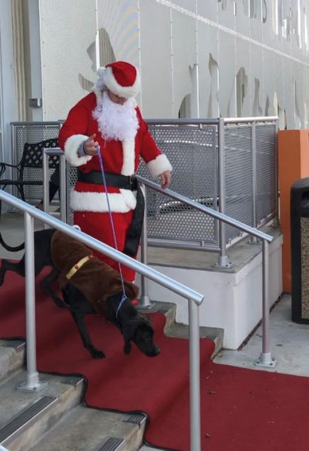 Santa escorts Miami-Dade shelter dogs north to find forever homes