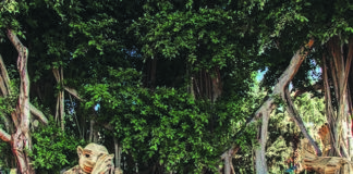 Educational Activities are our Focus in the New Year Educational Activities are our Focus in the New Year