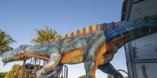 Dinosaurs Live! exhibit arrives at Zoo Miami Dinosaurs Live! exhibit arrives at Zoo Miami
