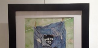 Helen Sandow’s debut exhibit opens during ArtSouth event Helen Sandow’s debut exhibit opens during ArtSouth event