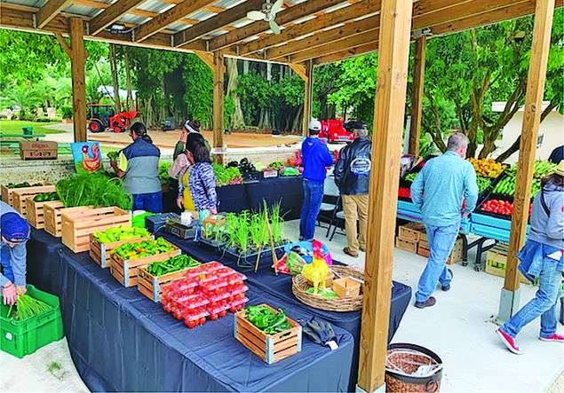 Taste of Redland Sunday Brunch and Weekly Farm Stand in Redland Launches