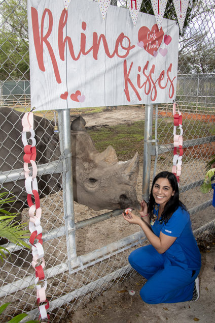 Endangered black rhinoceros celebrates milestone birthday