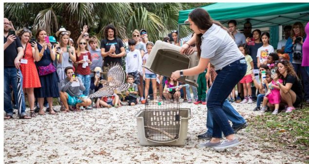 Miamians flock to activities for eighth annual Bird Day