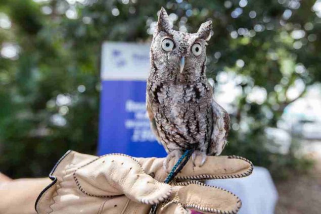 Miamians flock to activities for eighth annual Bird Day