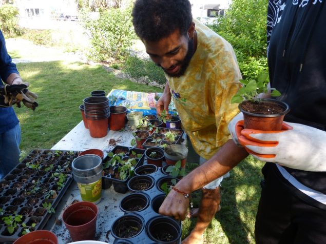 Ground broken on Bird-friendly Demo Garden ?at Steinberg Nature Center