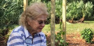 East Ridge’s new Butterfly Garden honors lifelong work of resident East Ridge resident Nancy Fehr cuts the ceremonial ribbon.