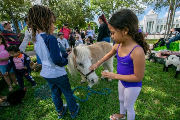 Homestead Eco Fair draws crowd to connect with S. Florida nature