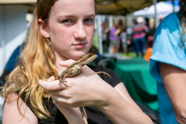 Homestead Eco Fair draws crowd to connect with S. Florida nature