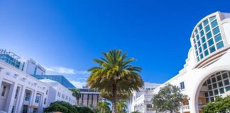 Sylvester Comprehensive Cancer Center receives transformational $126 million gift Sylvester Comprehensive Cancer Center receives transformational $126 million gift