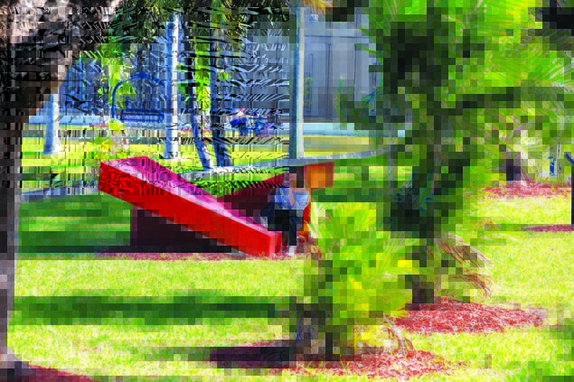 Open Letter from Miami-Dade College North Campus President