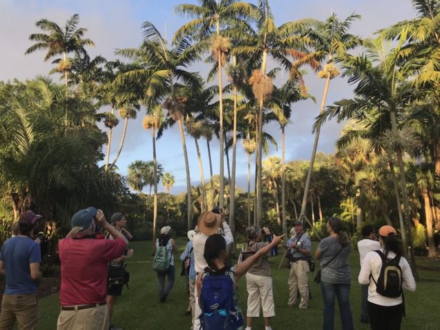 Tropical Audubon Ambassador Program reimagined for Fall 2020-Spring 2021