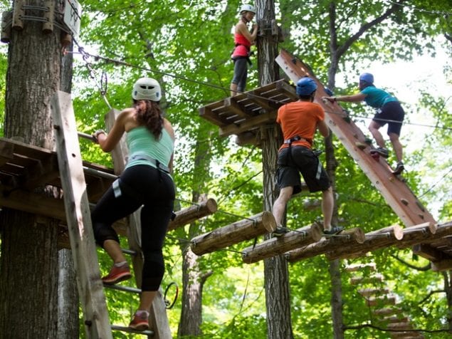 Jungle Island prepares to open new Aerial Game Trek, Nov. 21