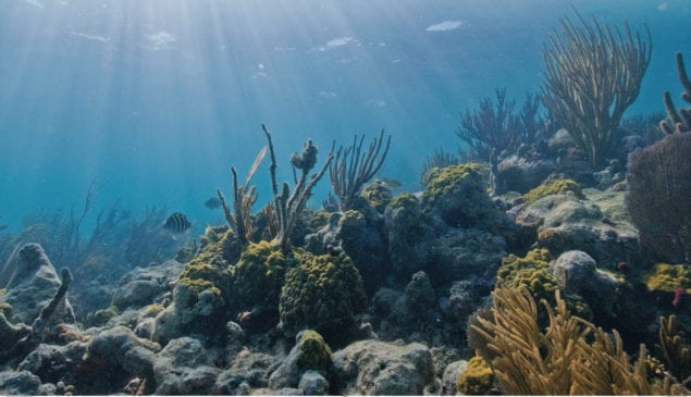 DHT Unveils Permanent Museum Exhibit, Biscayne Bay: Our Water, Our World!