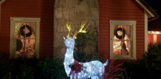 Enjoy a holiday evening stroll at Deering Estate Enjoy a holiday evening stroll at Deering Estate