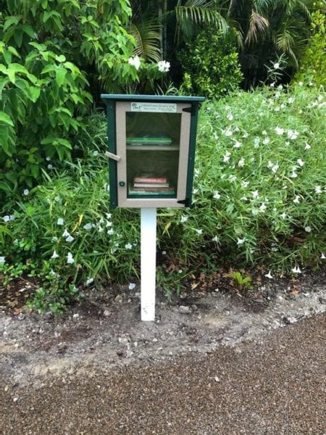 Little Free Libraries pop up at city parks