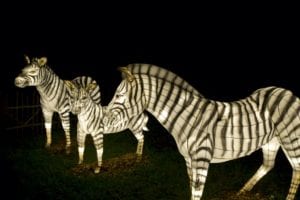 Zoo Lights returns to Zoo Miami select nights, Nov. 27-Dec. 27