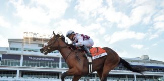 Gulfstream Gulfstream