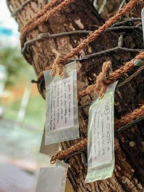 The Wishing Garden at Aventura Mall