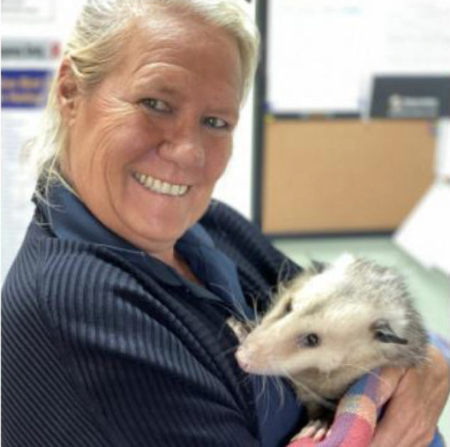 Bruce the opossum is pictured with his beloved friend and caretaker Mary Diddle.