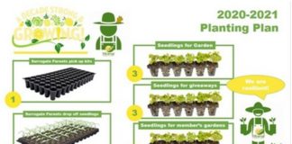 An Army of MOGs from the Miramar Community Garden Mobilize to Give Back! An Army of MOGs from the Miramar Community Garden Mobilize to Give Back!