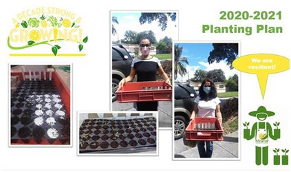 An Army of MOGs from the Miramar Community Garden Mobilize to Give Back!