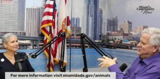Miami-Dade Animal Services are LIVE with Michael Miller on Miami’s Community News