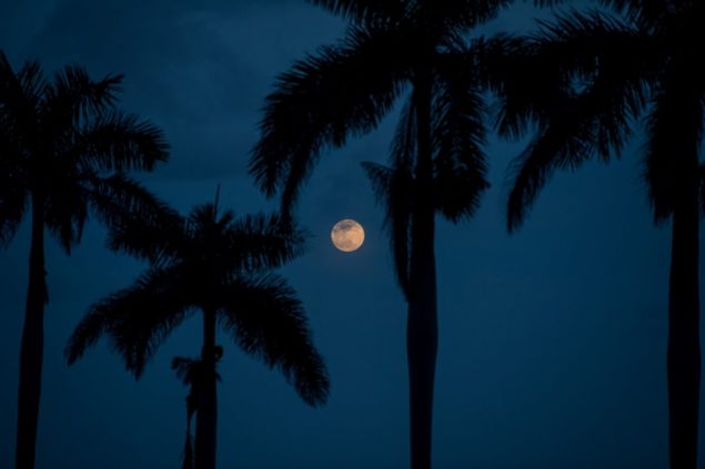 Super full moon viewing and sound event at Deering Estate, Apr. 26