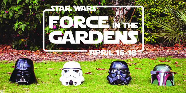 A Star Wars festival under the stars