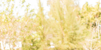 Thank you letter from Brian Corey