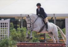 GOLD STIRRUP SHOW STABLES A RAY OF SUNSHINE IN MIAMI’S HORSE COUNTRY