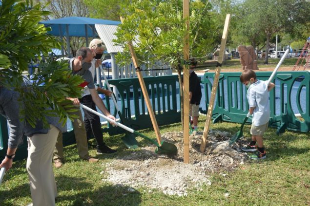 Palmetto Bay marks National Arbor Day with tree plantings