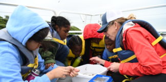 BLUE SCHOLARS INITIATIVE LAUNCHES 8 DAYS OF WORLD OCEANS CAMPAIGN