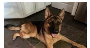 RYDER Against All Odds, A Story of Triumph