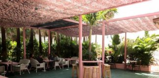 Miami’s best kept secret is gem called Casa Florida Miami’s best kept secret is gem called Casa Florida