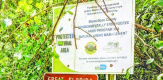 Setting the Record Straight Setting the Record Straight