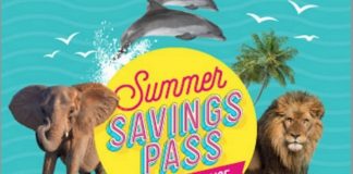 Lion Country Safari, Seaquarium, Zoo Miami again offer popular unlimited admission pass Lion Country Safari, Seaquarium, Zoo Miami again offer popular unlimited admission pass