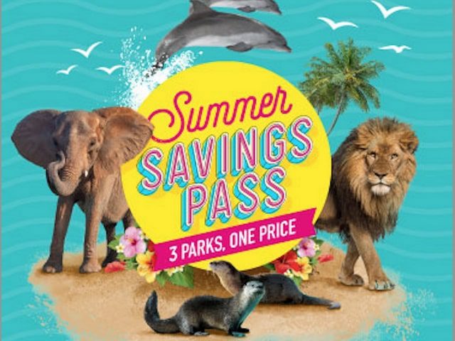 lion country safari yearly pass