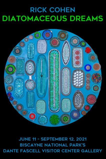 Inspired by diatoms, Rick Cohen’s exhibition opens in BNP Gallery