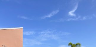 Museum of Contemporary Art, North Miami (MOCA) Presents “We’re All in This Together,” by Miami-based Collaborative Nice’n Easy, Part of Its “Art On The Plaza” Series; On View Through Aug. 22