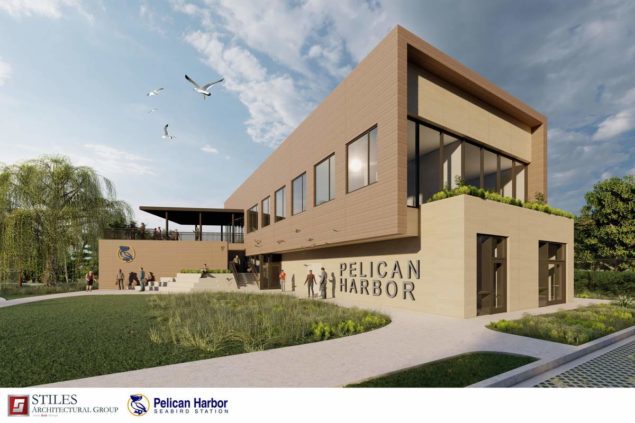 Stiles Architectural Group to design seabird station and wildlife center