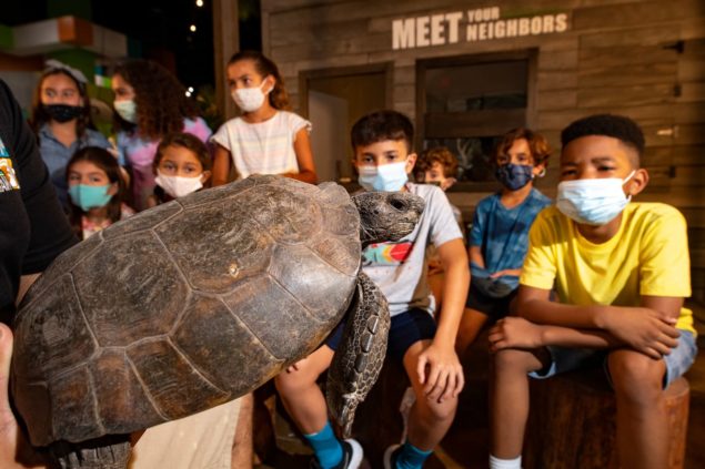 Zoo Miami earns National Achievement Award for Conservation Action Center