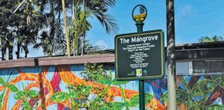 Xavier Cortada…Visionary, Artist in Residence at Pinecrest Gardens and Renaissance Man Xavier Cortada…Visionary, Artist in Residence at Pinecrest Gardens and Renaissance Man