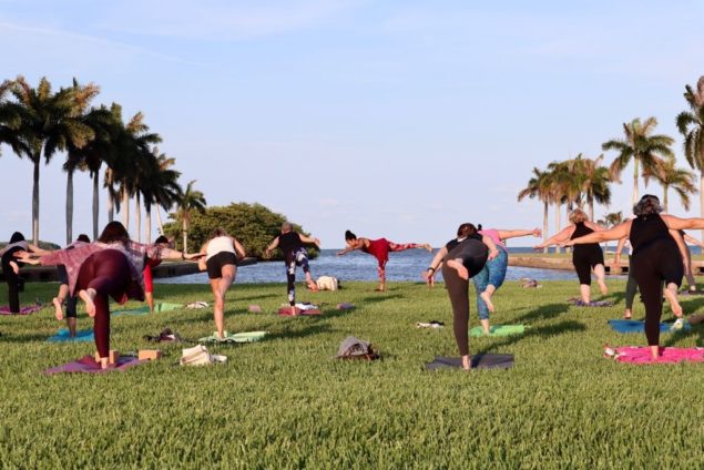 Health & wellness programs scheduled at Deering Estate