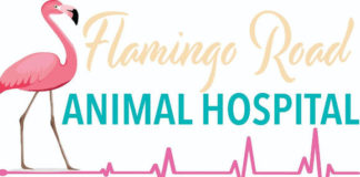 Flamingo Road Animal Hospital Celebrates one year Anniversary!