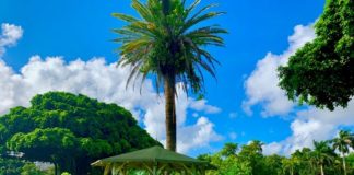 Greenways more than nostalgia; they have economic value too Greenways more than nostalgia; they have economic value too