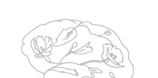 The Glioblastoma Research Organization Announces its Medical Advisory Board