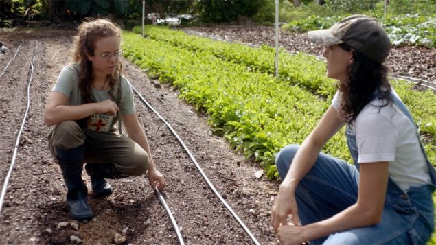 Aloha Redland Farm receives grant from Oregon’s TCCA